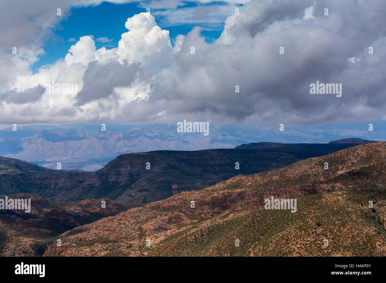 Schwere Gewitterwolken über die hohe Wüstengebiet der Mazatzal Mountains. Mazatzal Wildnis, Arizona Stockfoto