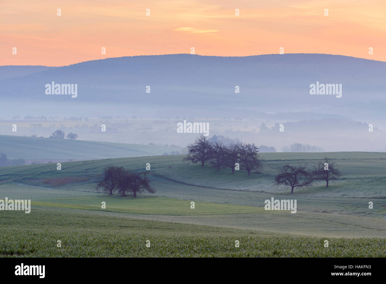 Landschaft auf Misty Morning bei Dämmerung, Monchberg, Spessart, Bayern, Deutschland Stockfoto