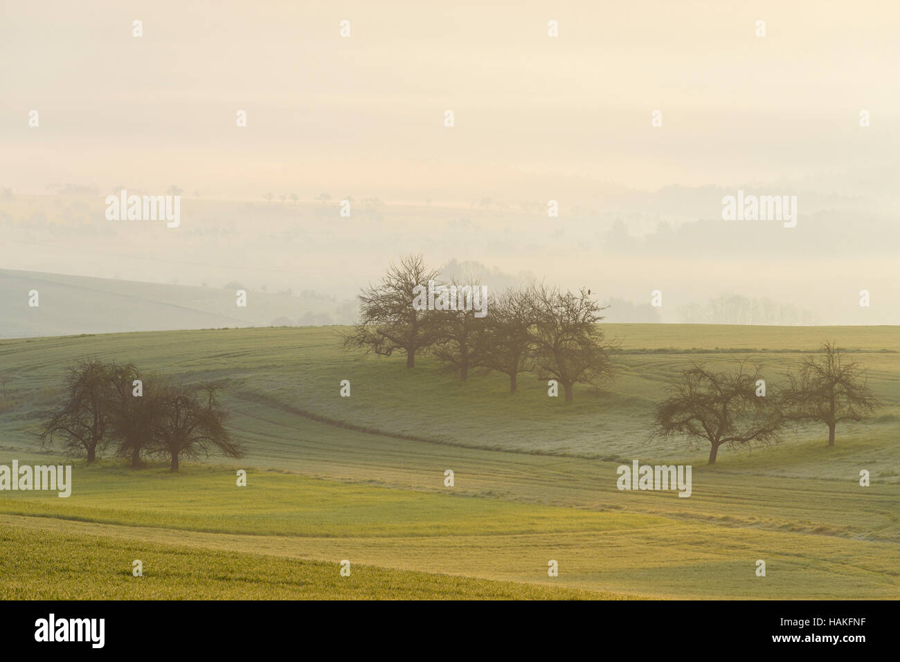 Landschaft auf Misty Morning, Monchberg, Spessart, Bayern, Deutschland Stockfoto