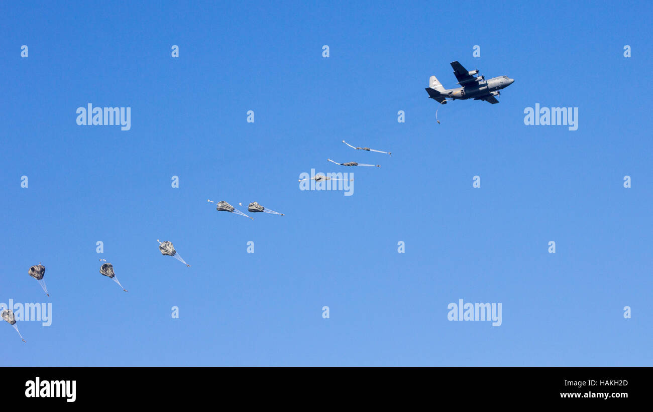 Fallschirmjäger springen aus einem militärischen Transportflugzeug. Stockfoto