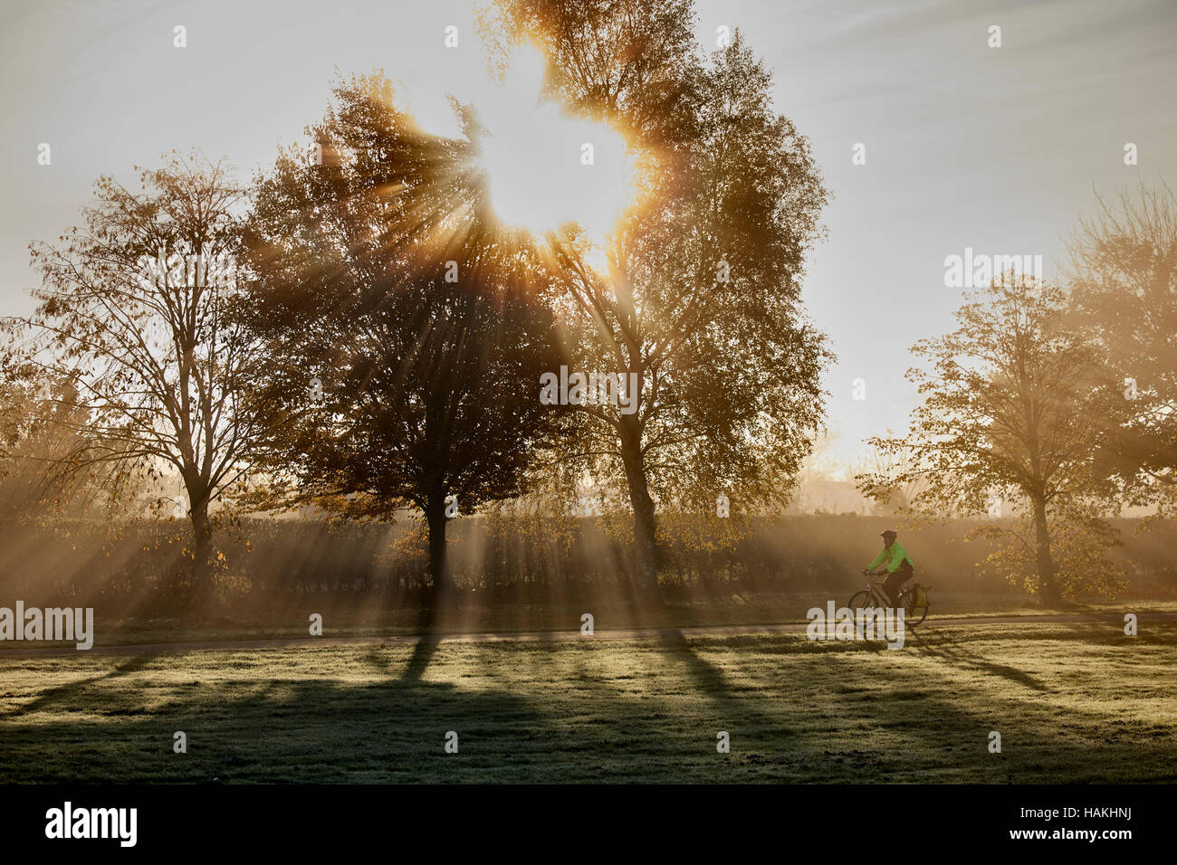 York Racecourse Nebel Nebel Radfahrer Route durch Los Pendler Pendler Pendler Bike Biker Bike Fahrrad Radsport Radsportler unterwegs verfolgen Stockfoto