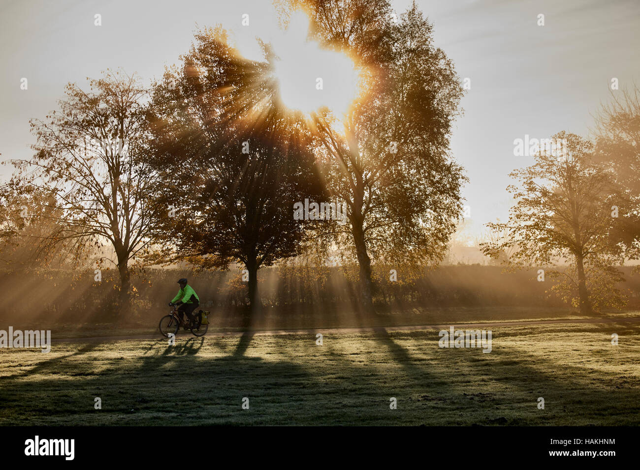 York Racecourse Nebel Nebel Radfahrer Route durch Los Pendler Pendler Pendler Bike Biker Bike Fahrrad Radsport Radsportler unterwegs verfolgen Stockfoto