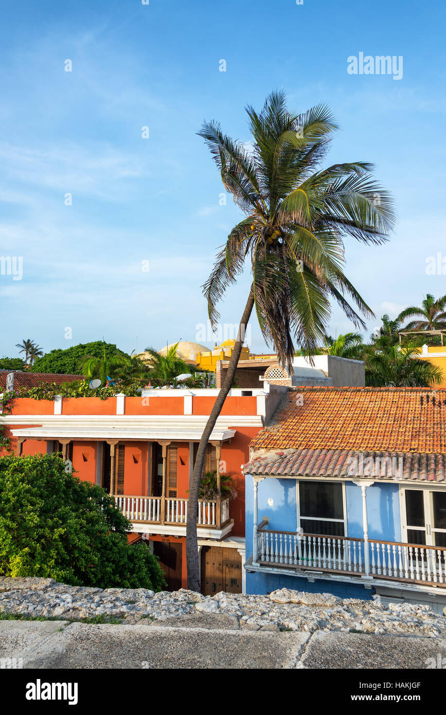 Tropische Palme erhebt sich über historische Kolonialarchitektur in der Mitte von Cartagena, Kolumbien Stockfoto