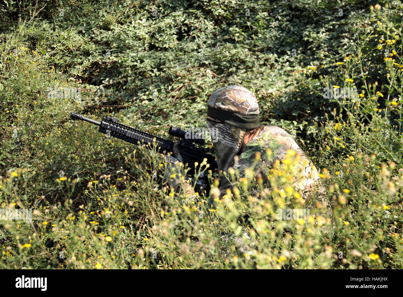 Getarnte Jäger im Dschungel wie mit Scharfschützengewehr durch Zielfernrohr auf Ziel suchen. Stockfoto