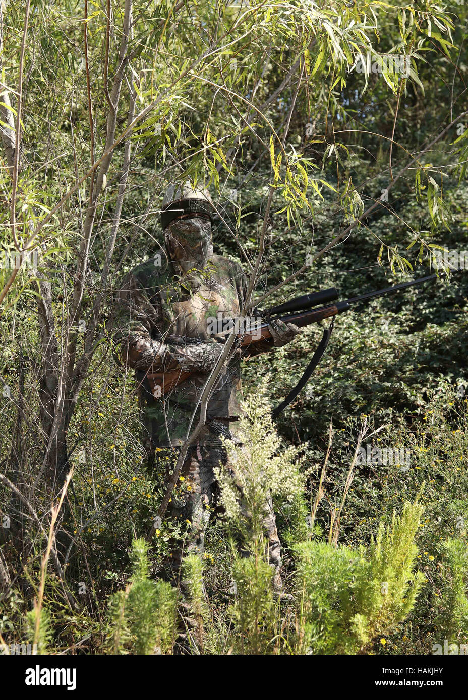Getarnte Jäger im Dschungel wie mit Scharfschützengewehr durch Zielfernrohr auf Ziel suchen. Stockfoto