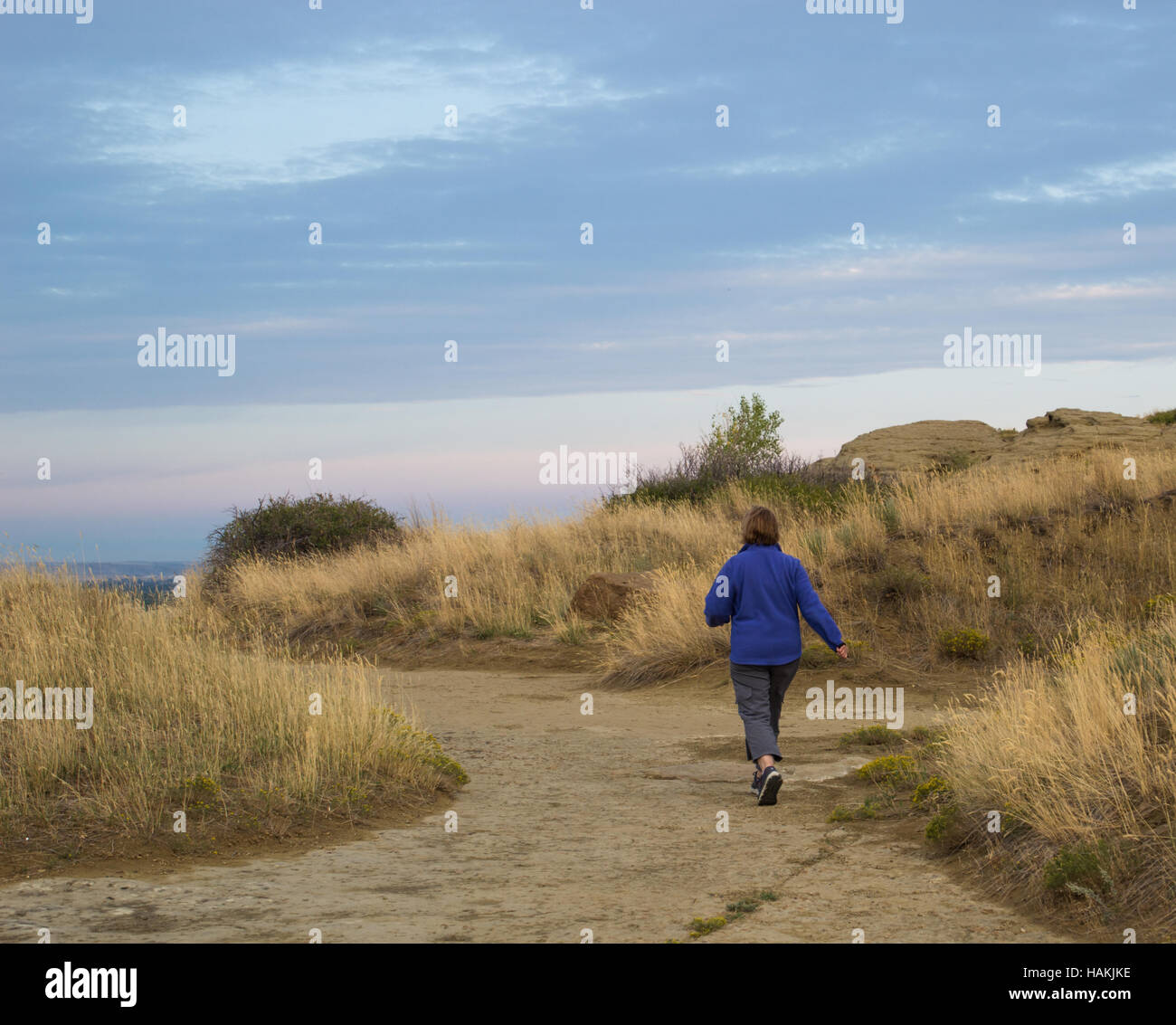 Eine Frau in Kornblumenblau Jacke mit Rücken zur Kamera gehen zügig auf Rasen gesäumten Weg in Richtung Sandstein Felsen bei Sonnenaufgang Stockfoto