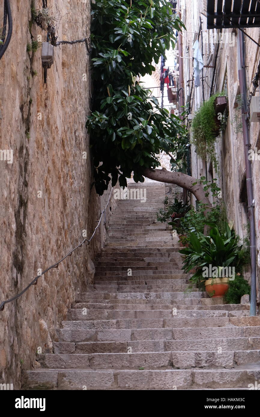 Gasse in der Altstadt von Dubrovnik, Kroatien Stockfoto