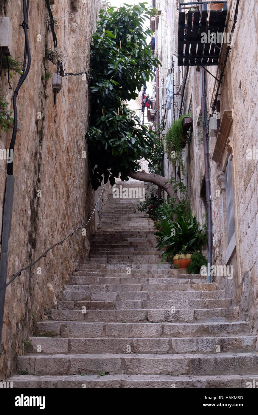 Gasse in der Altstadt von Dubrovnik, Kroatien Stockfoto