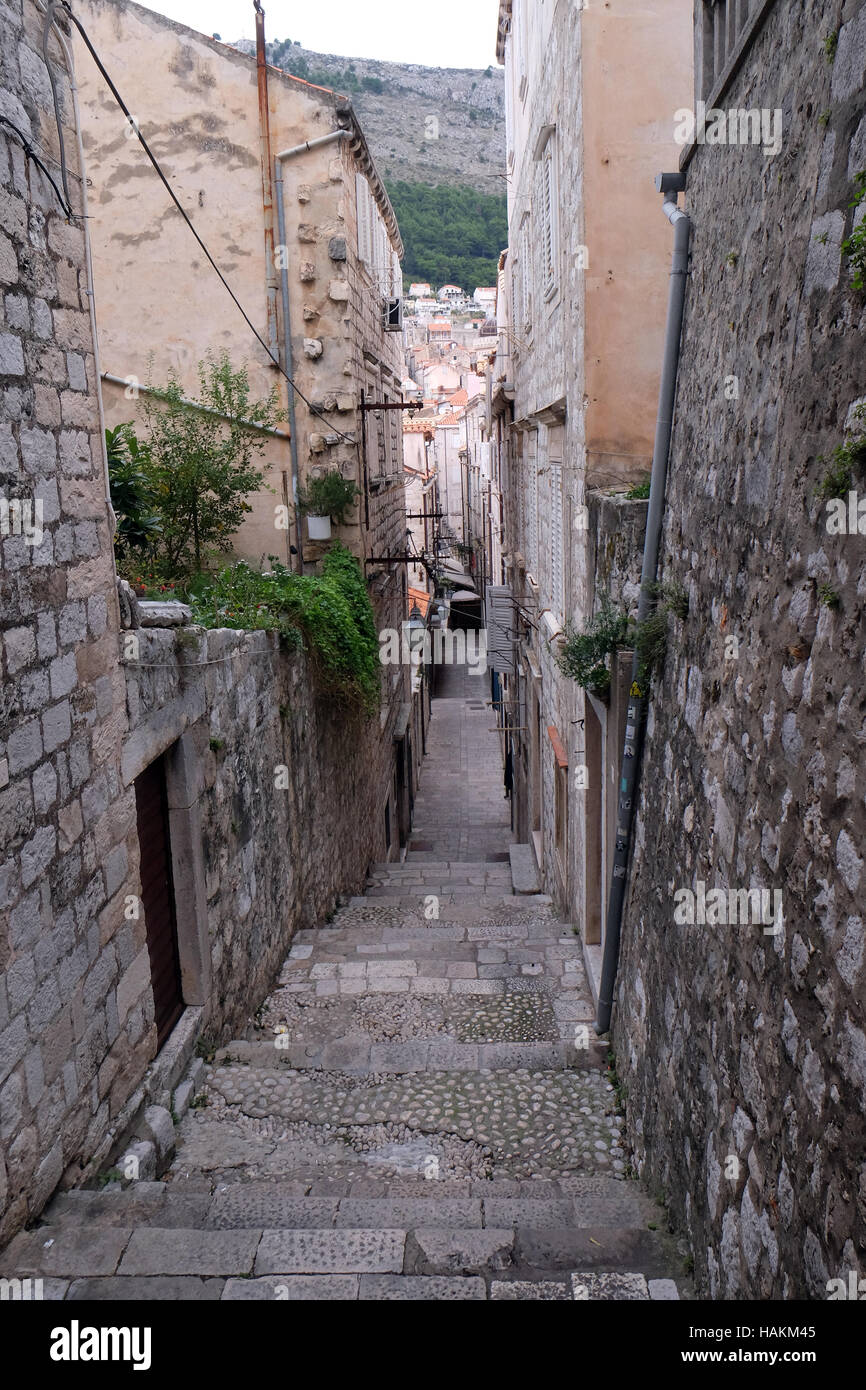 Gasse in der Altstadt von Dubrovnik, Kroatien Stockfoto
