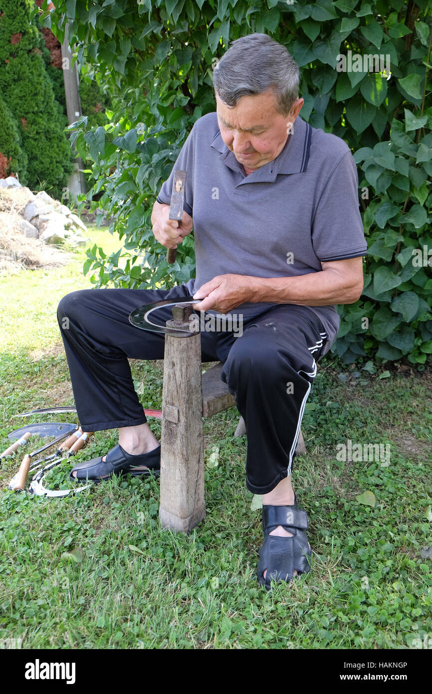 Bauer mit Hammer und Eisen-Tool auf dem Baumstumpf ist seine Sense in Nedelisce, Kroatien schärfen. Stockfoto