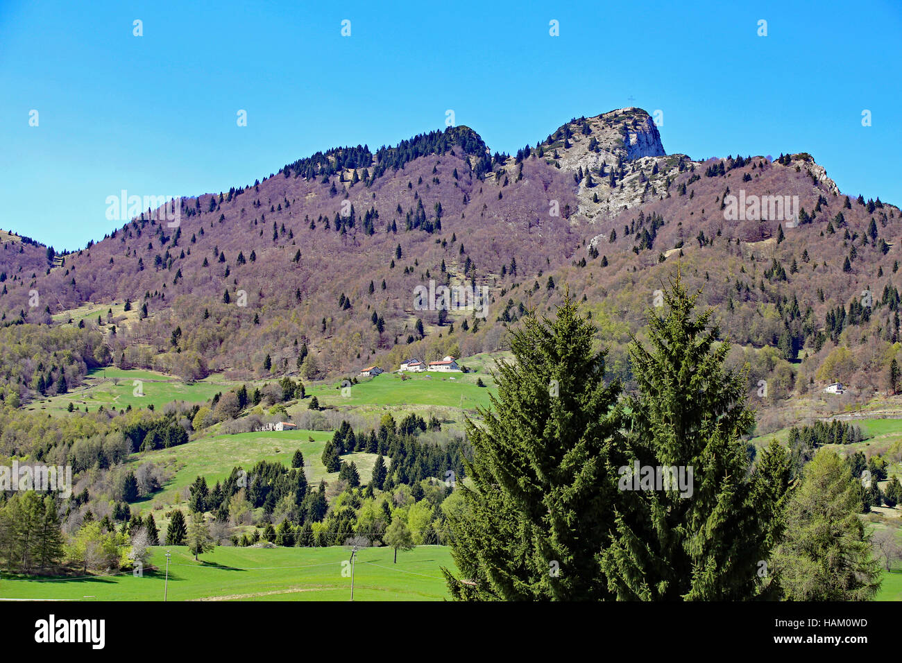 grüne Berge mit Mount Spitz in der Gemeinde Tonezza del Cimone in der Provinz Vicenza in Italien Stockfoto