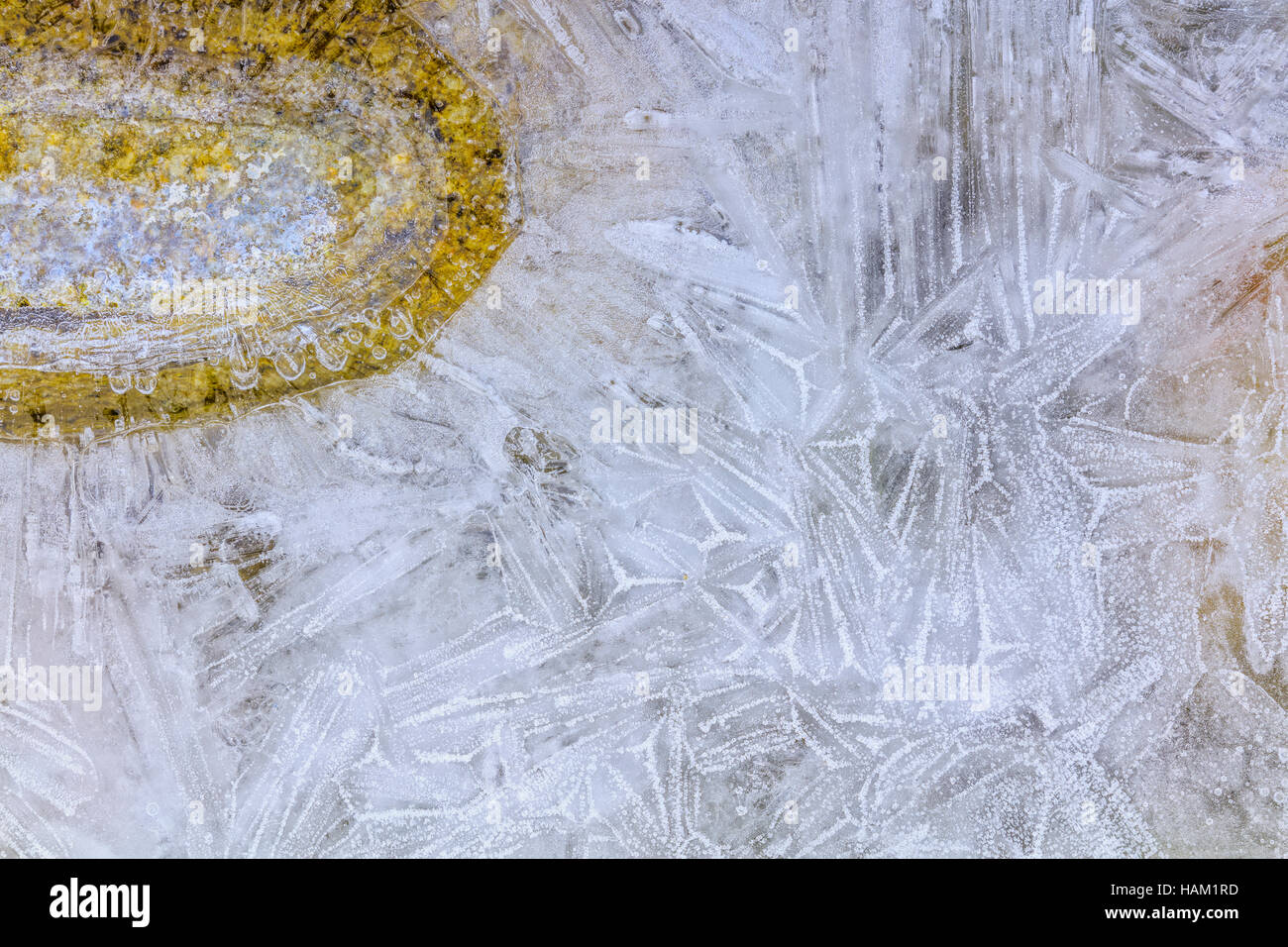 Eiskristalle im Teich Stockfoto