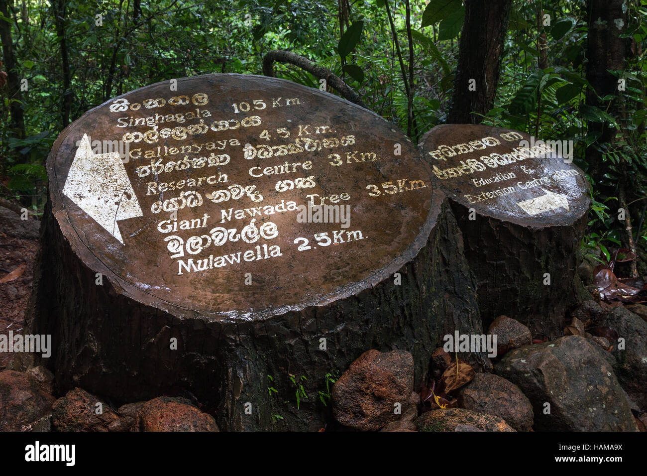 Wegweiser, Sinharaja Forest Reserve, Sri Lanka Stockfoto