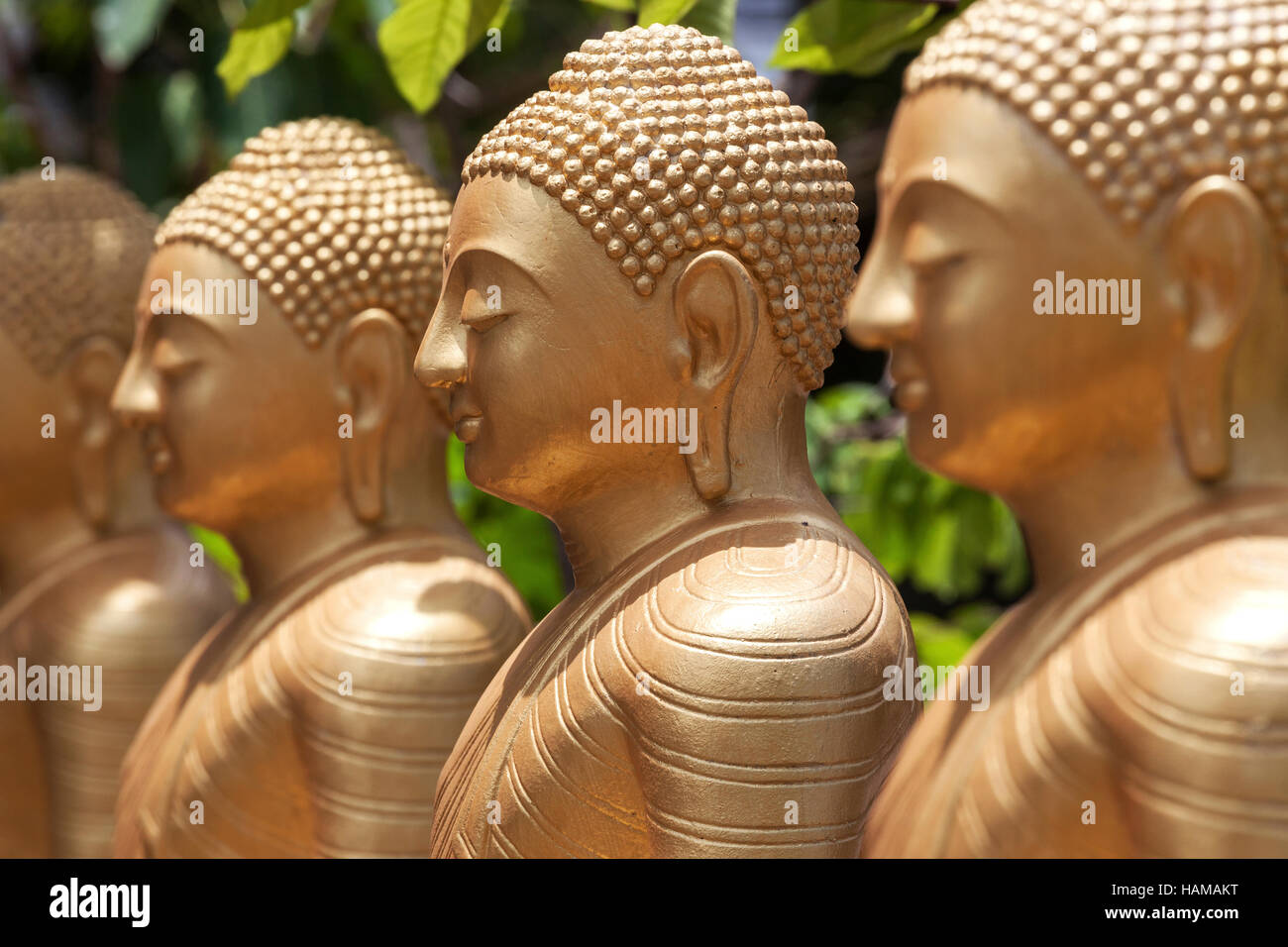 Goldenen Buddha-Statuen, Zeile des sitzenden Buddhas, Weherahena Tempel, Matara, südlichen Provinz, Sri Lanka Stockfoto