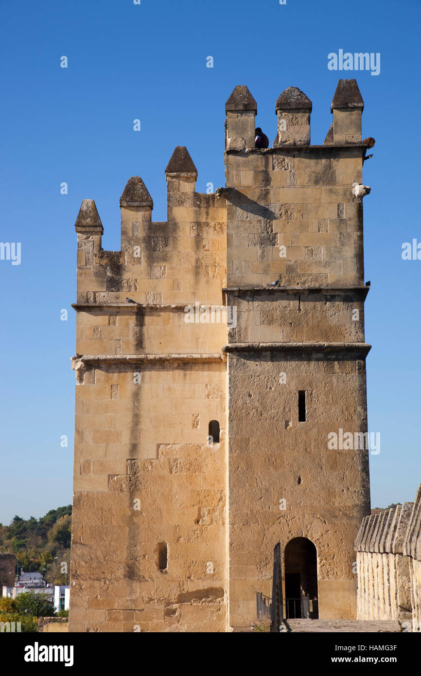 Torre del Leon, Alcazar de Los Reyes Cristianos, Córdoba, Andalusien