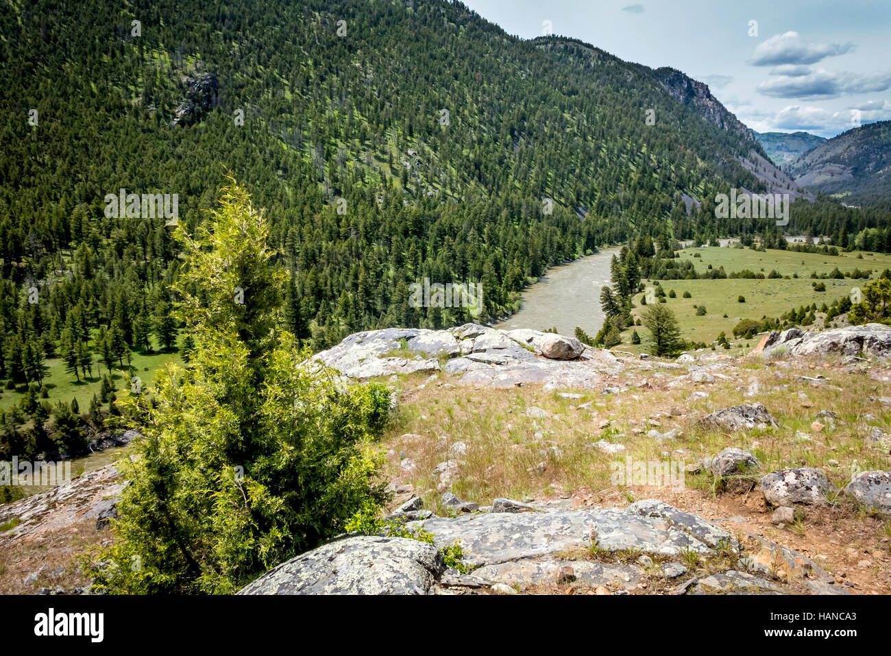 Wildnis auf dem Naturlehrpfad richtig Creek in den Yellowstone-Nationalpark in Wyoming Stockfoto