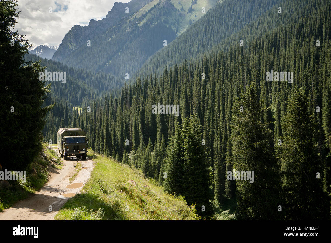 Ein Militär-LKW fährt auf einer unbefestigten Straße durch das Tal voll von Nadelbäumen Stockfoto