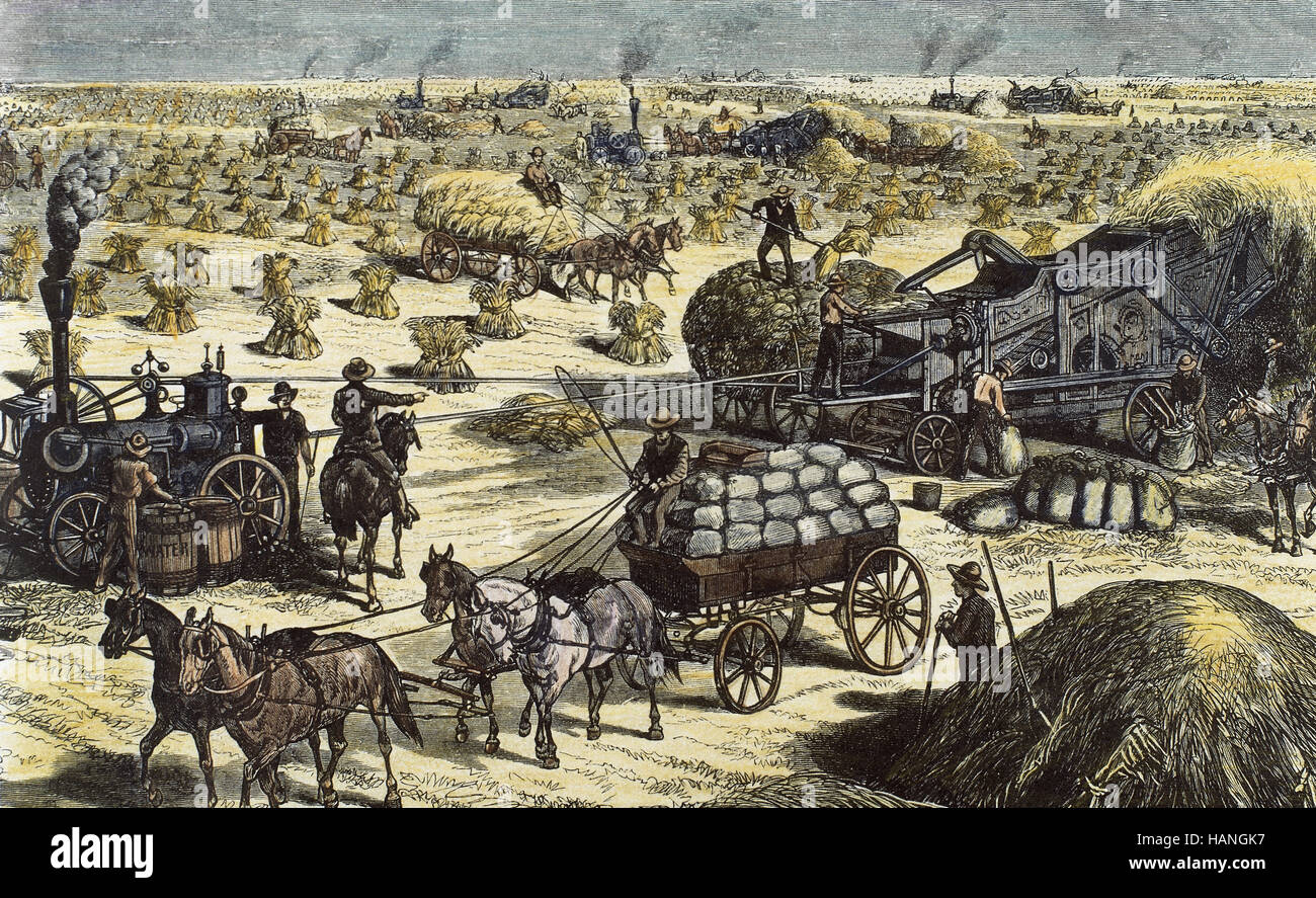Amerikanischen Westen. Dakota. des 19. Jahrhunderts. Weizen Ernte von Dampfmaschinen Dreschmaschinen auf einem landwirtschaftlichen Betrieb. Farbige Gravur, 1878. Stockfoto