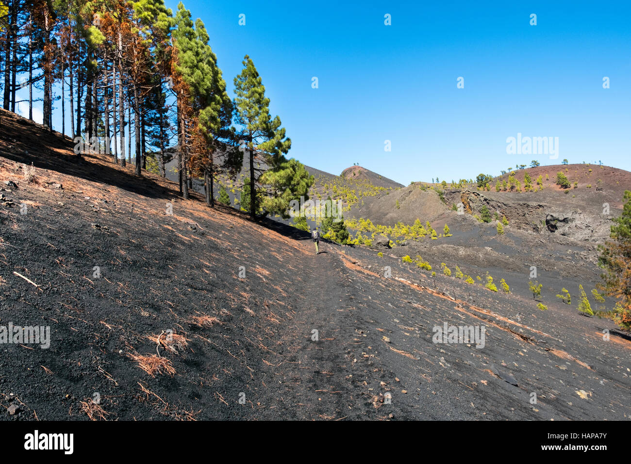 Schuss von der berühmten trekking eingeschlagene "Ruta de Los Vulkane", im Süden von La Palma in der Nähe Los Canarios. In der Ferne geht ein Wanderer den Weg. Stockfoto