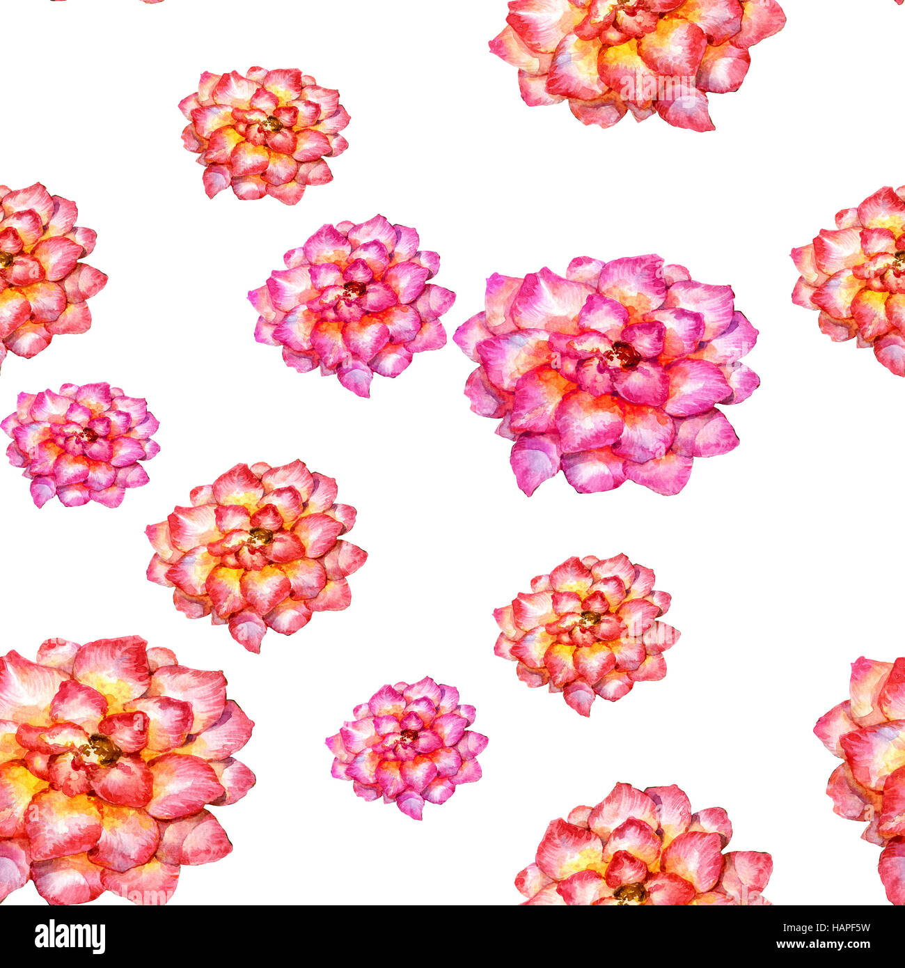 Aquarell Blumen, nahtlose Muster auf weißem Hintergrund Stockfoto