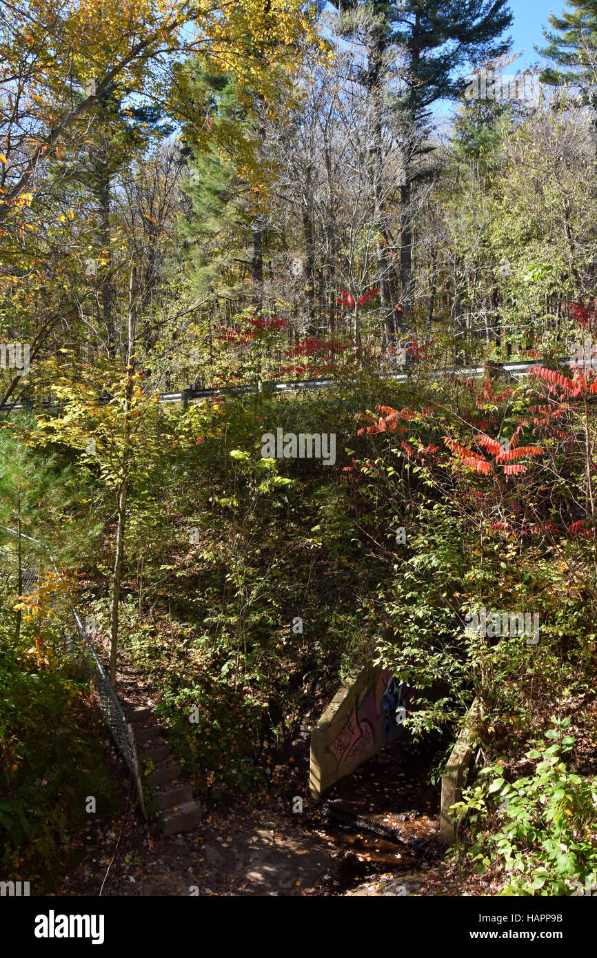 Des Teufels Naturschutzgebiet Punchbowl, Menomonie, Wisconsin Stockfoto