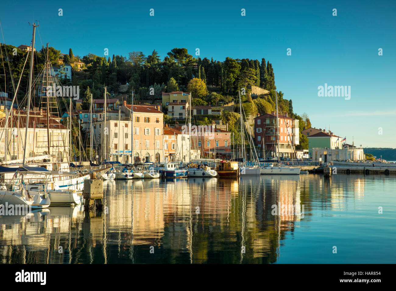 Am Abend Sonnenlicht auf Marina und Gebäude von Piran, Primorska, Slowenien Stockfoto