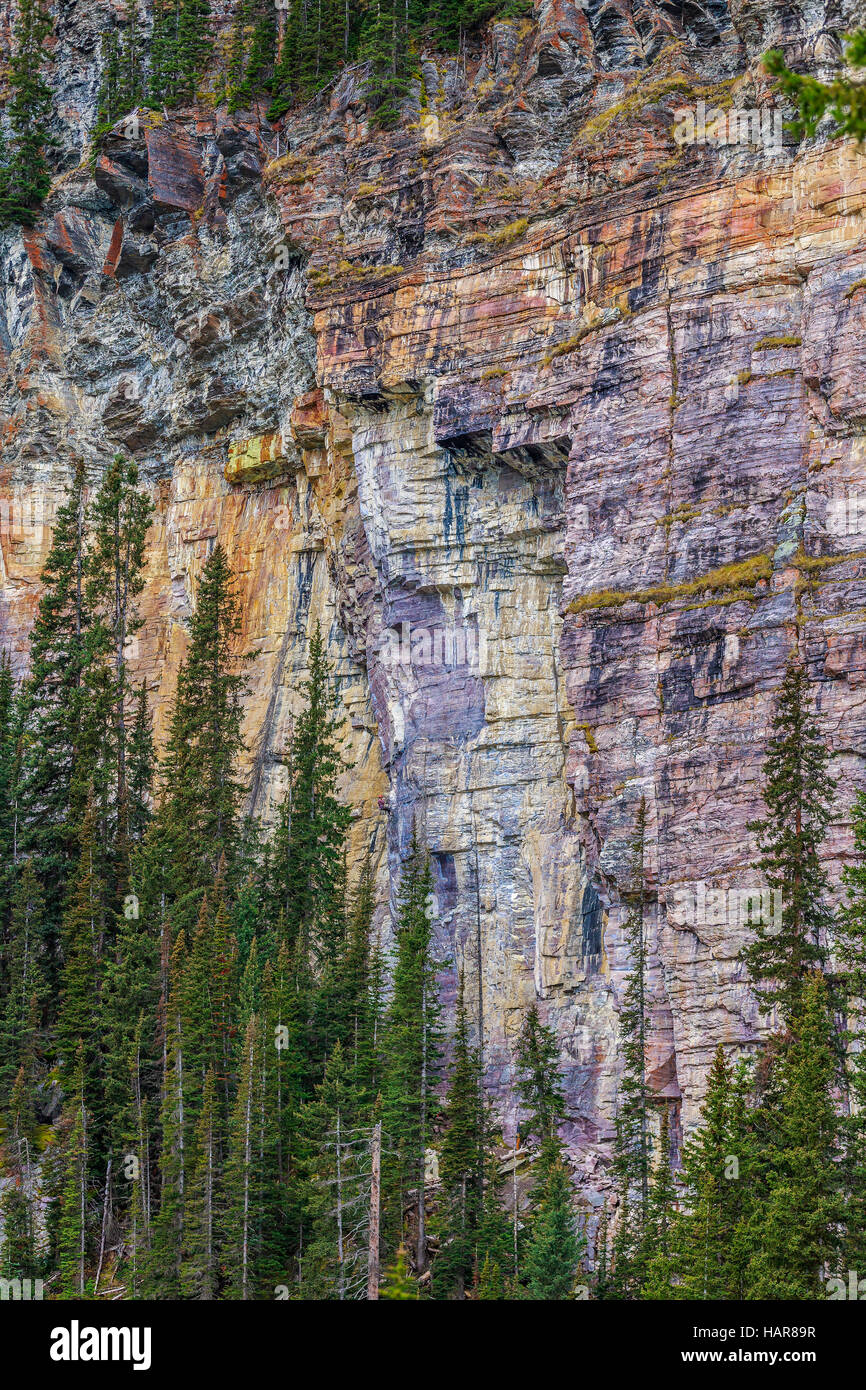 Klippen von Quarzit Felsen, Lake Louise, Banff Nationalpark, Alberta, Kanada. Stockfoto