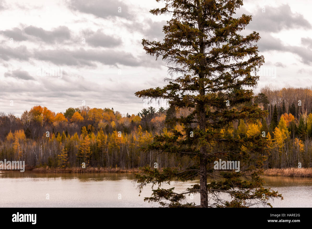 Szenen des Ottawa River Valley zwischen Ontario und Quebec im Herbst. Stockfoto