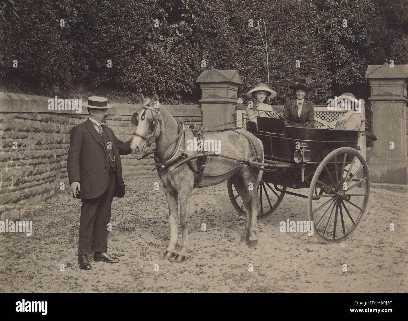 Historisches Archiv Bild der Familiengruppe mit Pony und Trap 1900 Stockfoto