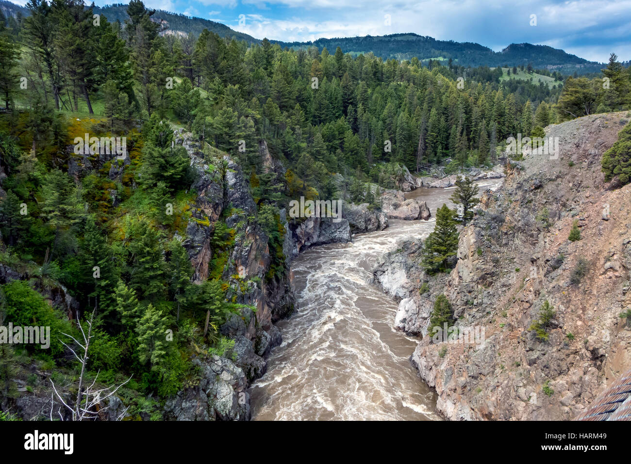 Wildnis auf dem Naturlehrpfad richtig Creek in den Yellowstone-Nationalpark in Wyoming Stockfoto