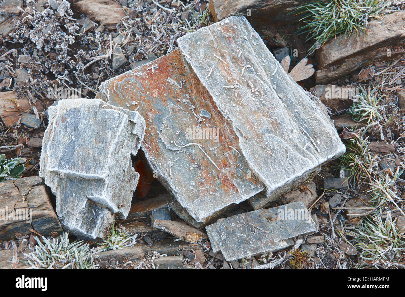 Gefrorenen Felsen auf dem Boden. Kalten Morgen im freien Natur Detail. Horizontale Stockfoto