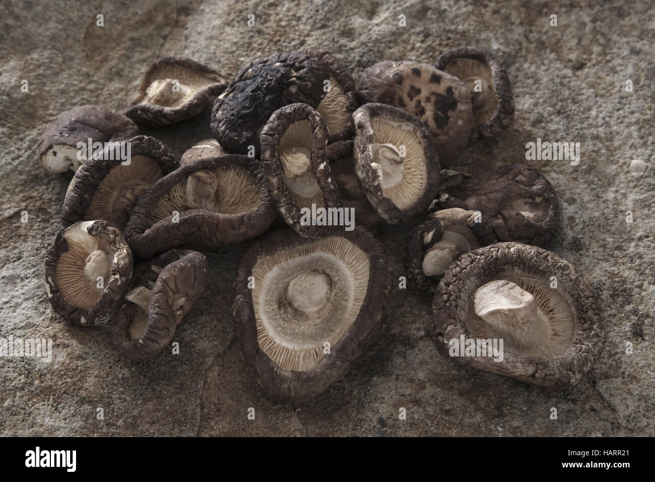 getrocknete Pilze Stockfoto