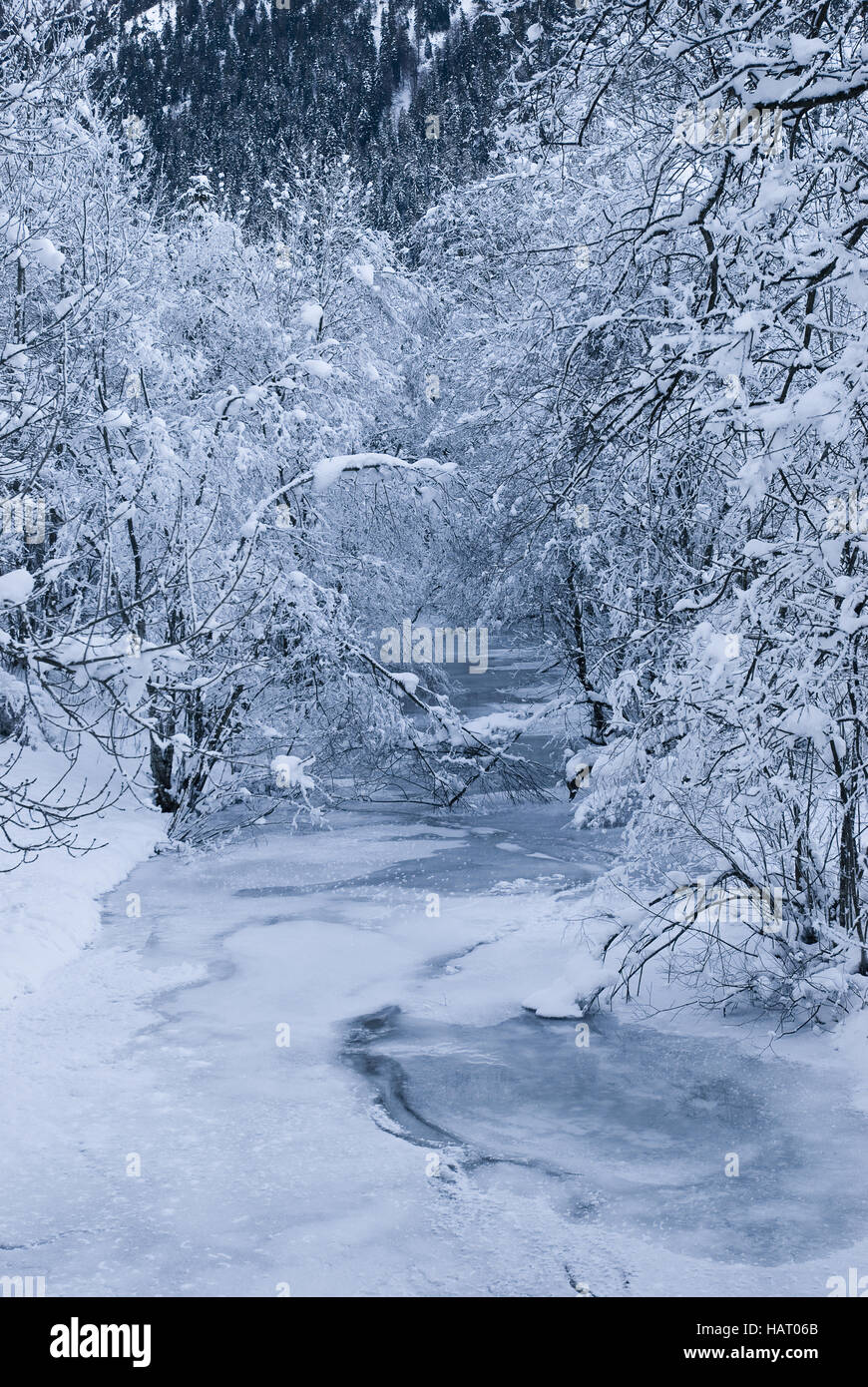 Winterlandschaft Stockfoto
