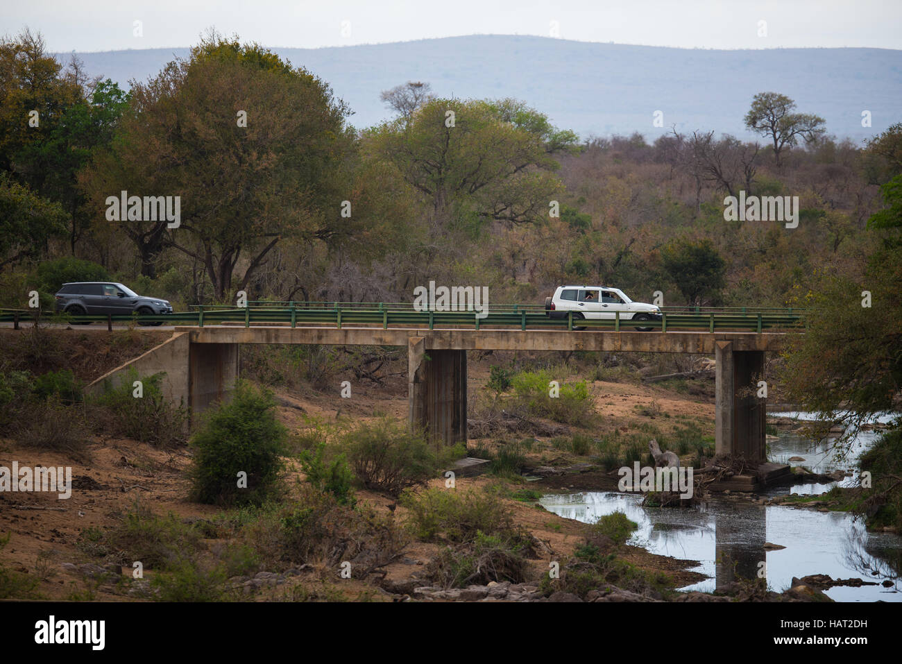 Touristen fahren über eine Brücke in den Krüger Nationalpark auf der Suche nach Tieren Stockfoto
