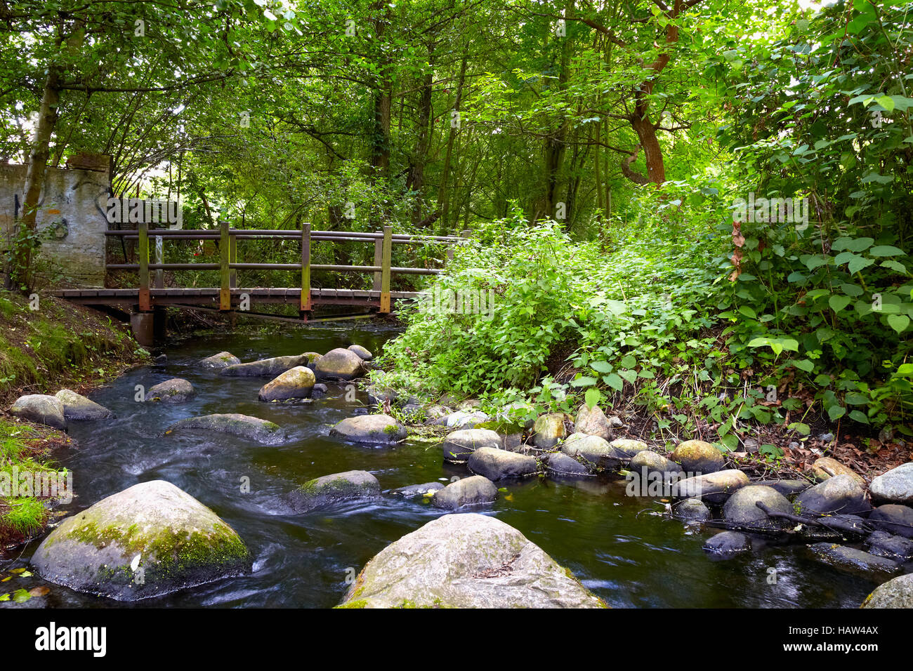 Rustikale Brücke im Briesetal Stockfoto