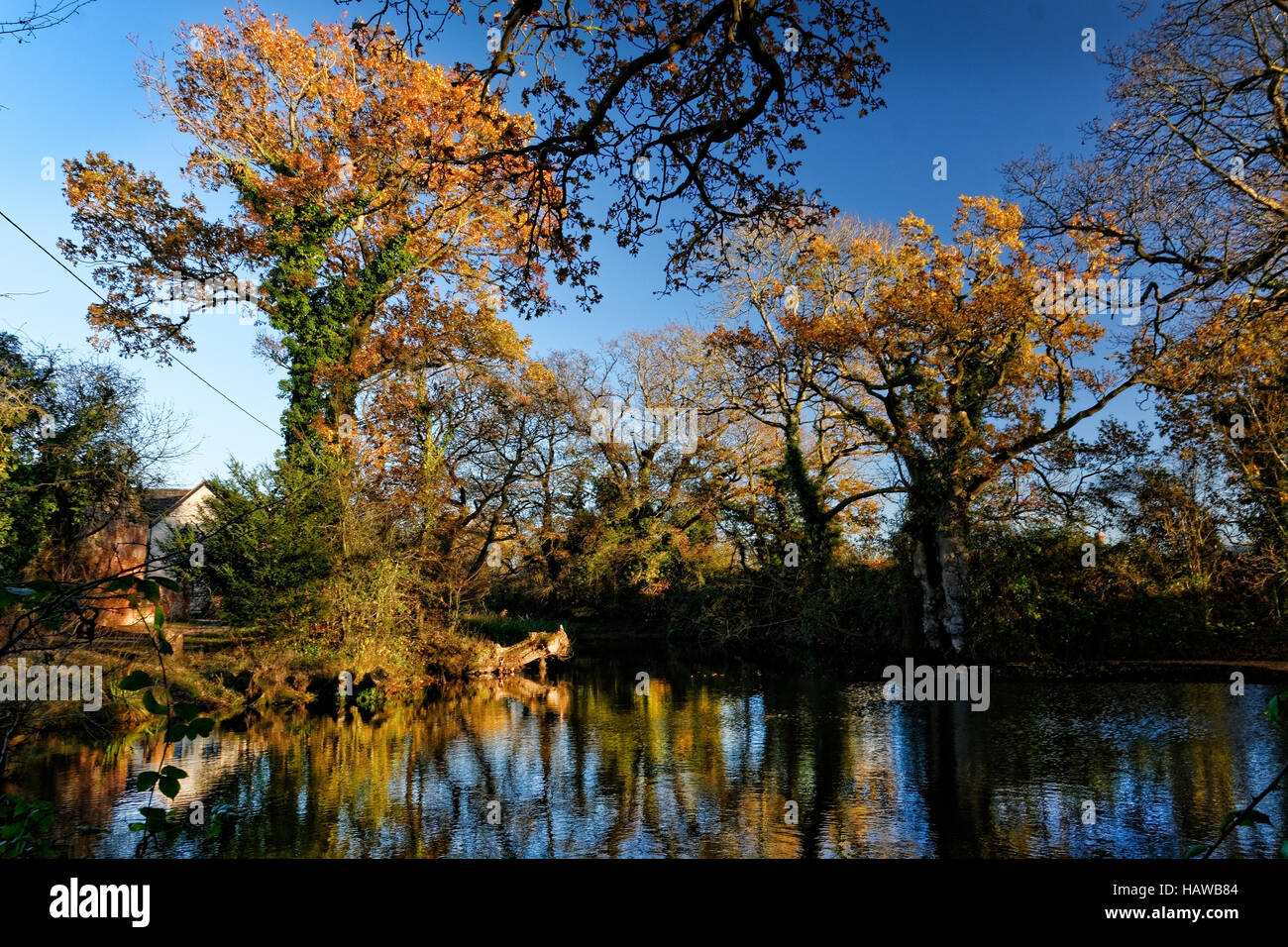 Herefordshire Landschaft wurde von Brian Hatton jetzt erlebt durch die Hatton Wanderweg am Viehtreiber Pool gemalt. Stockfoto