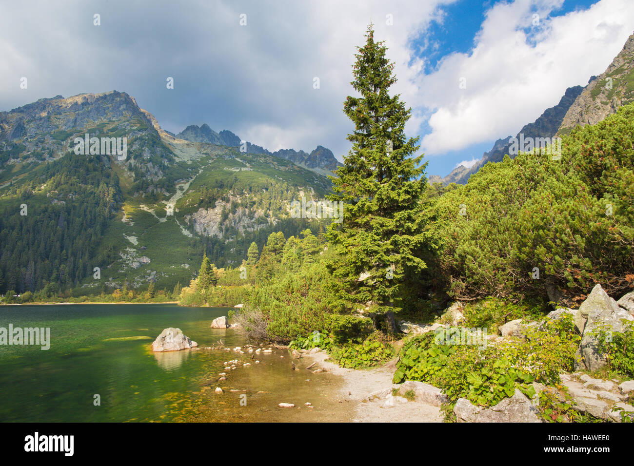 Hohe Tatra - die Küste von Popradske Pleso See Stockfoto
