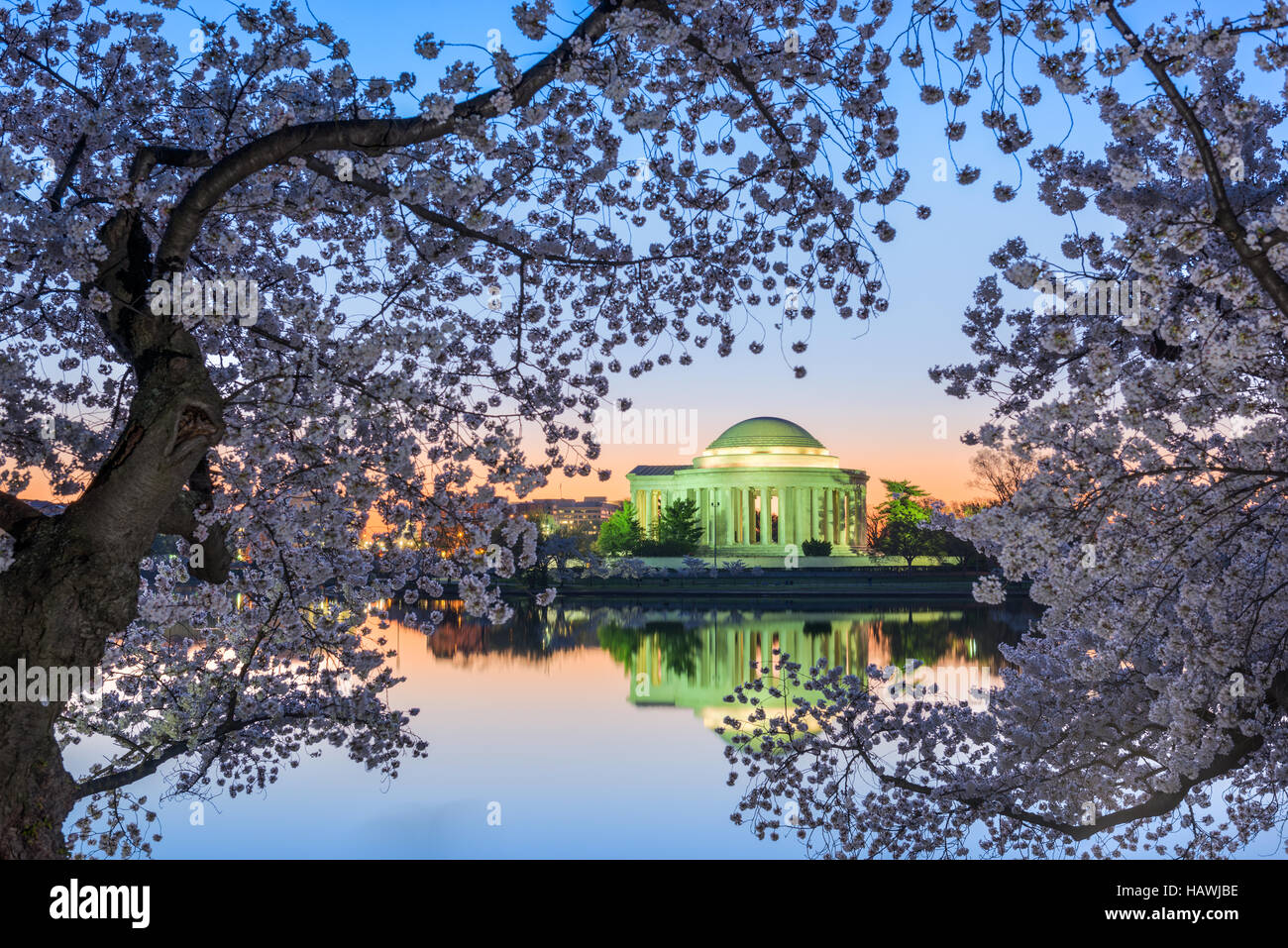 Washington, DC am Jefferson Memorial im Frühjahr. Stockfoto