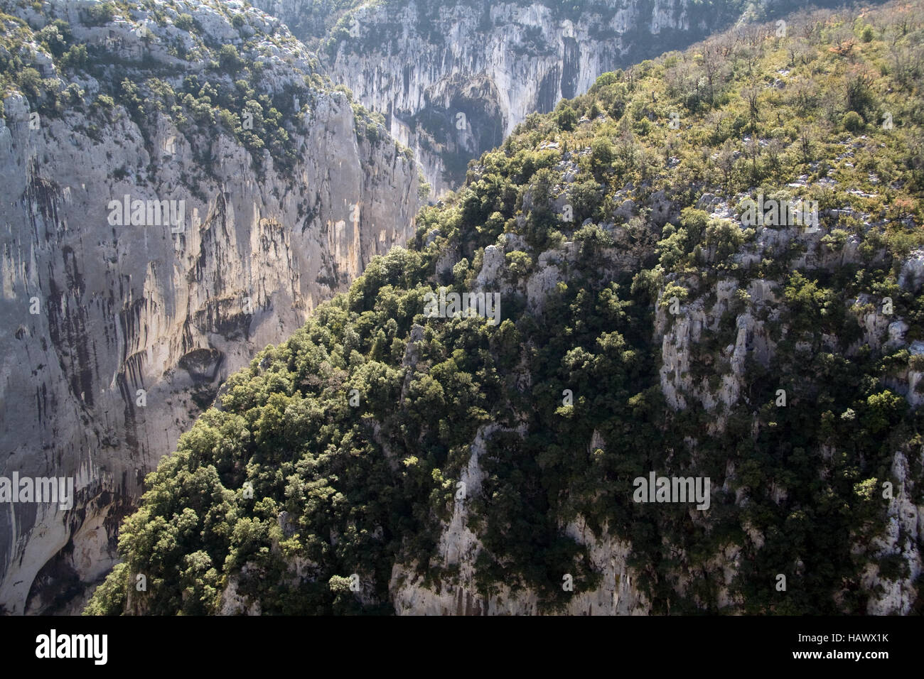 Gorges du Verdon, Haute Provence, Frankreich Stockfoto