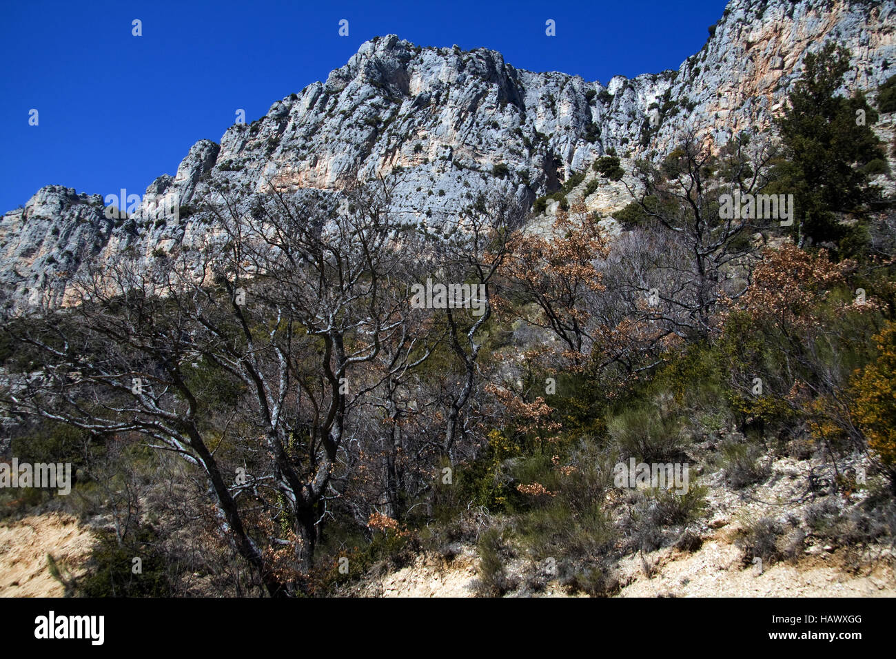 Gorges du Verdon, Haute Provence, Frankreich Stockfoto
