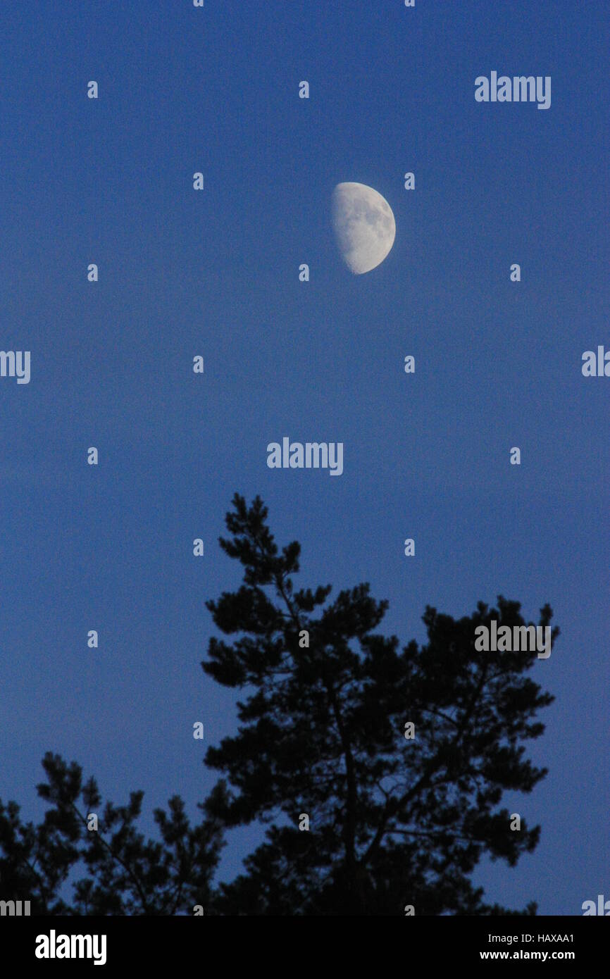 Nachthimmel, Vollmond Stockfoto