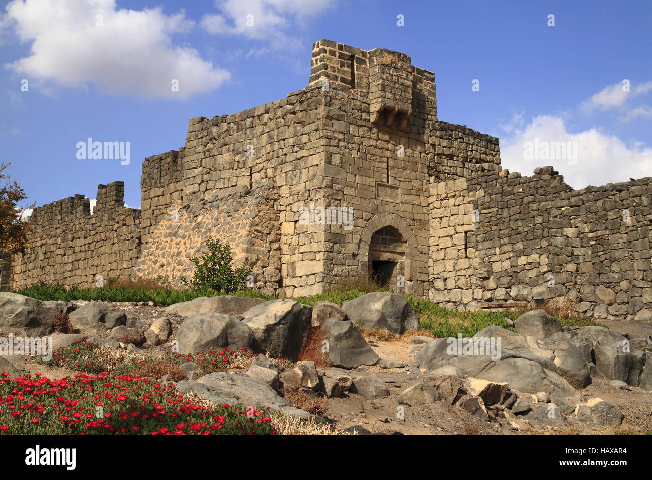 Al azraq Fotos und Bildmaterial in hoher Auflösung Alamy