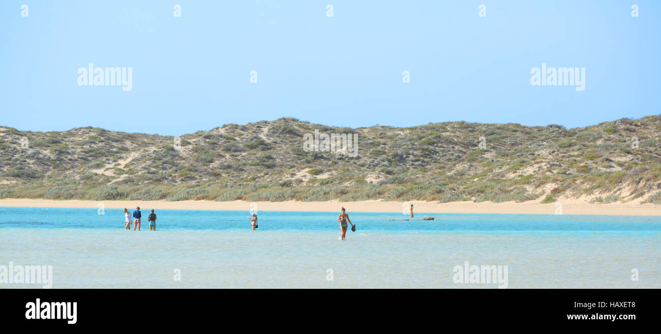Menschen zu Fuß durch das flache Wasser des Skelett beach shark Baumschule Stockfoto