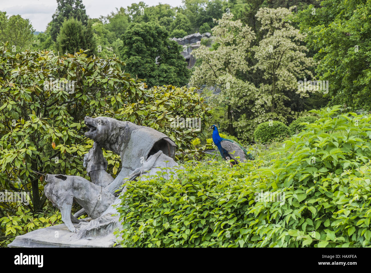 Pfau-neben einer Skulptur, Wilhelma, zoo Stockfoto