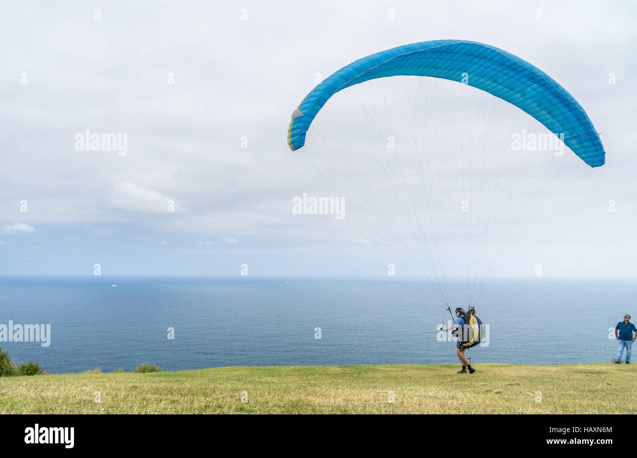 Paragliding am kahlen Hügel Stanwell Tops in New South Wales, Australien Stockfoto
