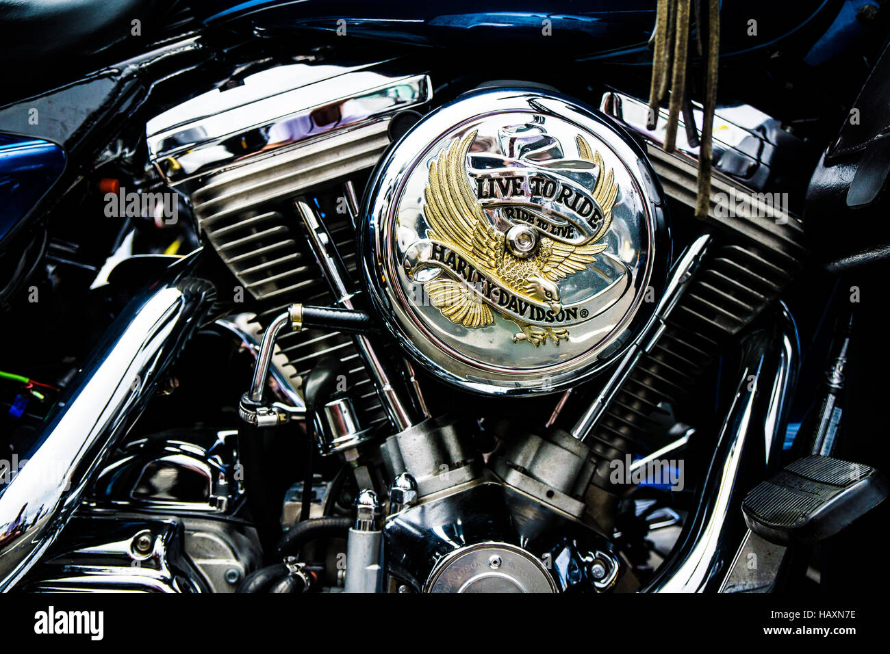 Ein "Live to Ride" Emblem auf einer Harley Davidson Motorrad-Motor Stockfoto