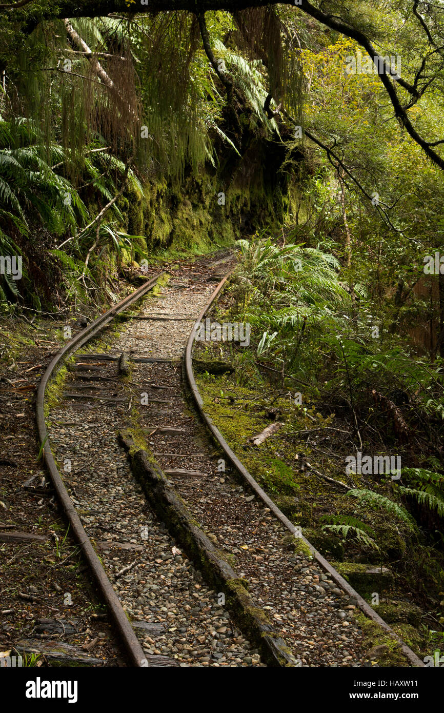 Einige der Schienen sind noch an die alte Eisenbahntrasse von der charmanten Creek Coal Mine an der Küste Neuseelands. Stockfoto