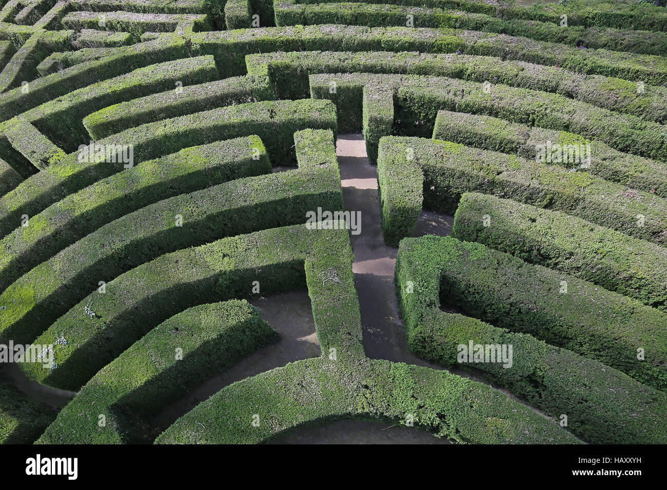 Green labyrinth -Fotos und -Bildmaterial in hoher Auflösung - Seite 2