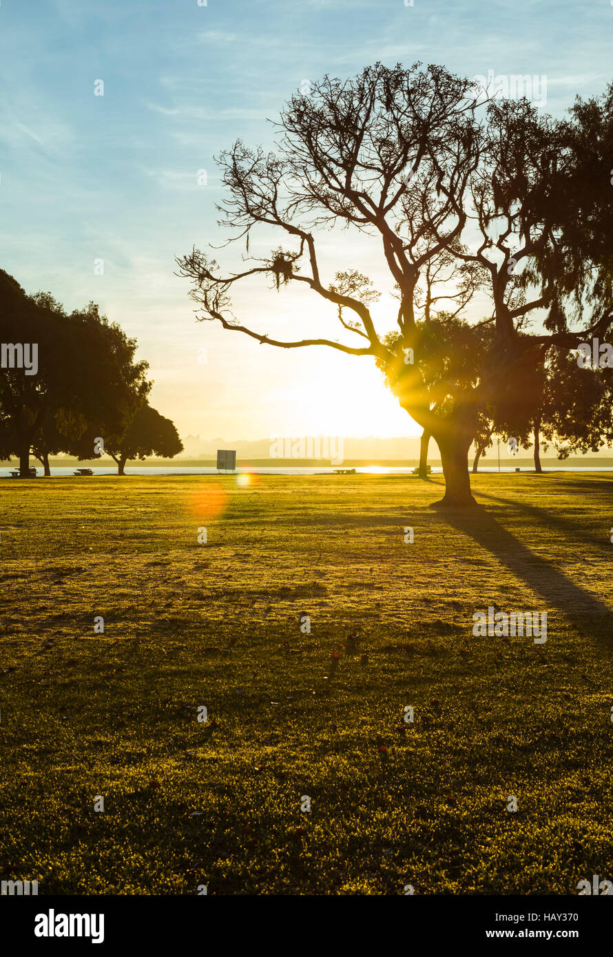 Sonnenaufgang im Mission Bay Park. San Diego, Kalifornien, USA. Stockfoto