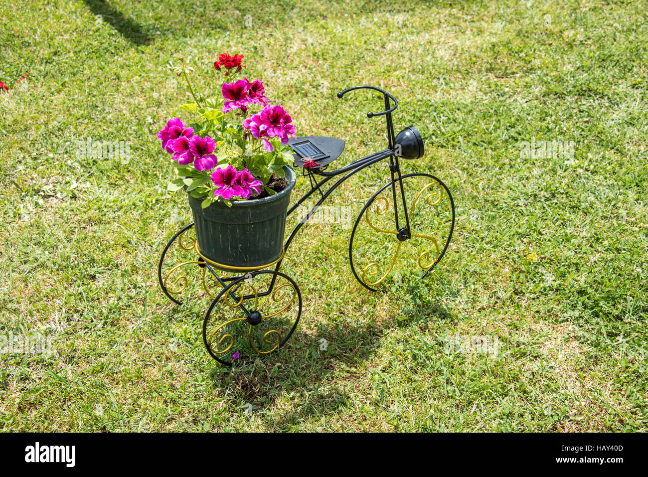 Garten im Hinterhof mit kleinen Metall Fahrrad mit 3 Rädern und Vase mit Blumen dekoriert ist Stockfoto
